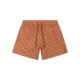 Férfi úszóshort Palm Stripe UPF 50+ védelemmel
