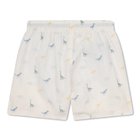 Gyerek fiú úszónadrág UPF 50+ Dino Swim Essentials anyaggal