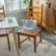 My Spot™ Grey ülésbetét székre 6h+, 15 kg-ig Ingenuity 17481-3