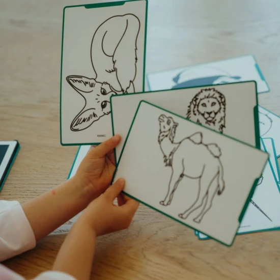 Kidydraw mini kiegészítő kártyák A világ állatai, óceánok és kalózok Kidydraw mini kiegészítő kártyák A világ állatai, óceánok és kalózok REFIL-MINI-AAW-OPI