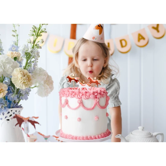 Születésnapi torta gyertyák egyedi lovak formájában.