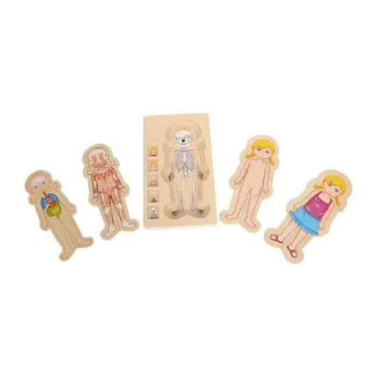 Lili emberi test rejtvénye