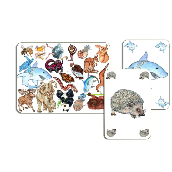 Zanimatch kártyajáték