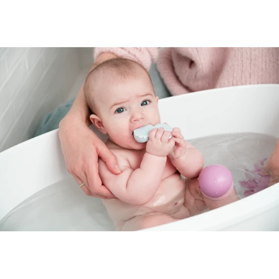 Folding magnetic animals Farm