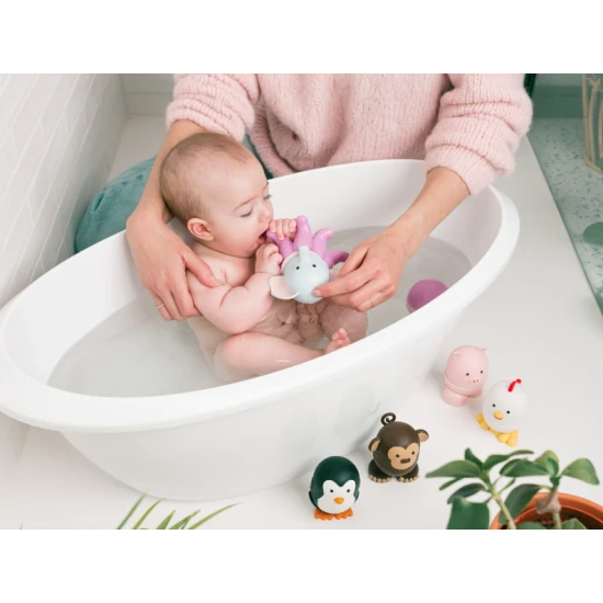 Folding magnetic animals Sea