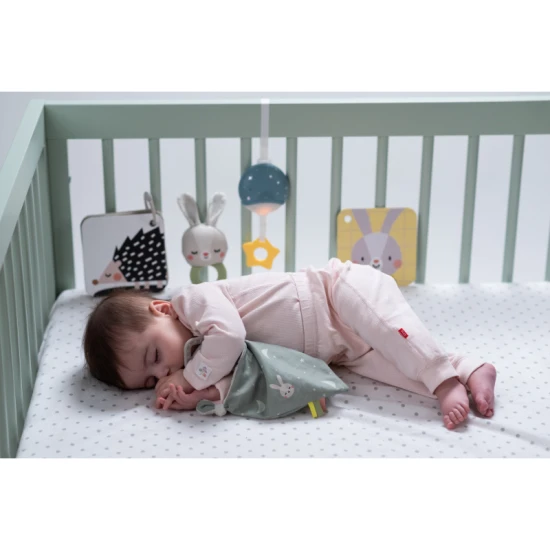 Játékkészlet Bedtime Kit – Taf Toys 13265TAF