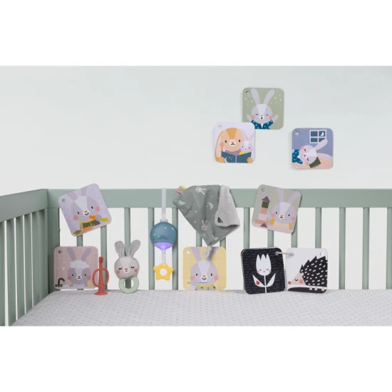Játékkészlet Bedtime Kit – Taf Toys 13265TAF