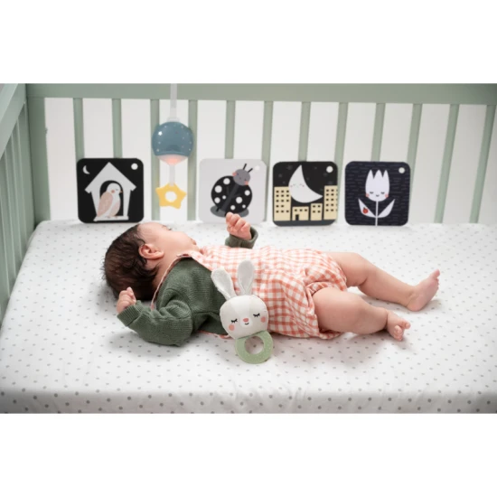 Játékkészlet Bedtime Kit – Taf Toys 13265TAF