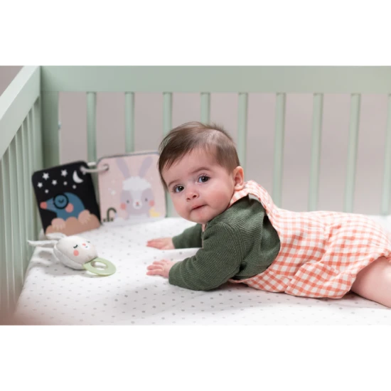 Játékkészlet Bedtime Kit – Taf Toys 13265TAF