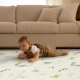 Tiny Love Összecsukható habszivacs játszószőnyeg Boho Chic