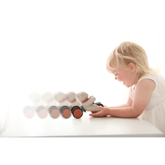 Tolo Mackó egy triciklin, nyomja meg a fejét a mozgás megkezdéséhez