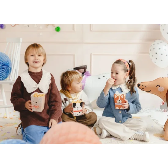 Pattogatott kukorica dobozok kutyával gyerekbulira