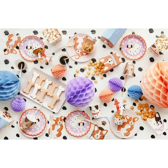 Dalmát papírtányérok gyermek születésnapi partira